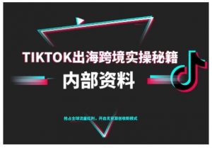 TikTok跨境电商0-1搭建运营,TK出海跨境实操秘籍(10月更新)-风淘社