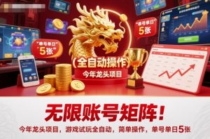 无限账号矩阵!今年龙头项目,游戏试玩全自动,简单操作,单号单日5张【揭秘】-风淘社