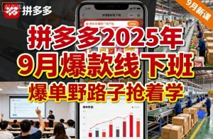 拼多多2025年9月爆款线下班，爆单野路子抢着学-风淘社