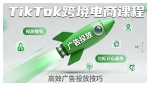 TikTok跨境电商全流程实操课,助力从业者掌握TikTok跨境电商运营核心技能,高效开展业务-风淘社