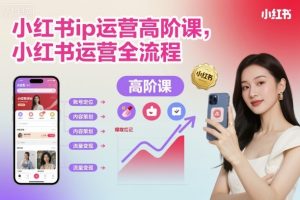 小红书ip运营高阶课,小红书运营全流程-风淘社