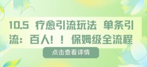 疗愈引流玩法,单条引流百人,保姆级全流程-风淘社