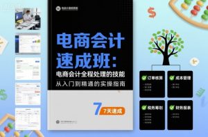 电商会计速成班，电商会计全程处理的技能-风淘社