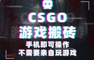 CSGO游戏挂G捡漏,单日扫货5张+,年底小高峰上车可吃肉,手机即可操作,兼职副业创业网创【揭秘】-风淘社
