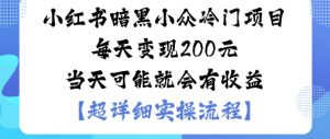 小红书暗黑小众冷门项目每天变现2张当天可能就会有收益-风淘社