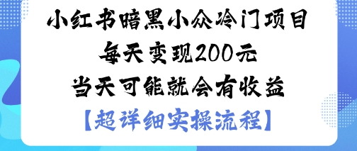 小红书暗黑小众冷门项目每天变现2张当天可能就会有收益-风淘社
