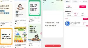 毕业生求职项目拆解_脉脉拉新空白市场，蓝海开局-风淘社