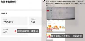 游戏加速器项目4.0_最新打法思路(爱玩游戏也能边玩边被动收益)-风淘社