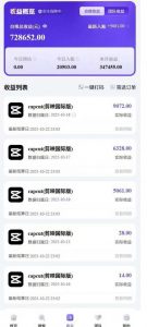 2025风口TK剪映capcut拉新项目,极限高客单,市场空白,2025下半年真正的蓝海项目-风淘社