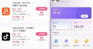 新手副业首选!视频代发接单,领任务发视频,长期稳定不费劲儿-风淘社