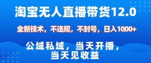 淘宝无人直播12.0,公域私域技术,不封号,不违规布局双十一流量风口,日入1k(独家技术)【揭秘】-风淘社