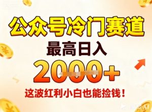 公众号冷门赛道，最高日入1k+，这波红利小白也能捡钱！-风淘社
