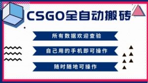 CSGO全自动搬砖，年底钱回家好项目，当天可拿到结果，新手小白轻松月入1W+【揭秘】-风淘社