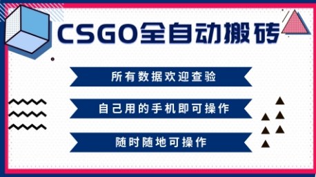 CSGO全自动搬砖,年底钱回家好项目,当天可拿到结果,新手小白轻松月入1W+【揭秘】-风淘社