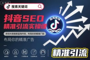 抖音SEO精准引流实操课,抓住抖音搜索蓝海市场,布局你的精准广告-风淘社