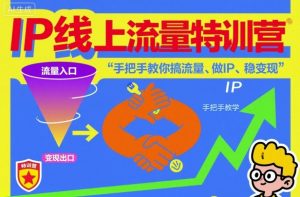 IP线上流量特训营，手把手教你搞流量、做IP、稳变现-风淘社