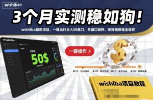 3个月实测稳如狗!wishlba最新项目,一键运行日入50美刀,单窗口躺挣,保姆级教程全给你【揭秘】-风淘社