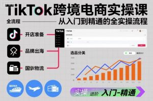 TikTok跨境电商实操课,从入门到精通的全实操流程-风淘社