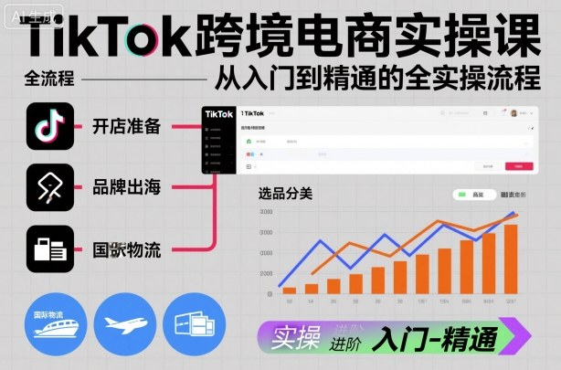 TikTok跨境电商实操课,从入门到精通的全实操流程-风淘社