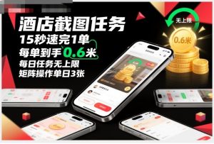 酒店截图任务,15秒速完1单,每单到手0.6米,每日任务无上限,全网首发玩法,矩阵操作单日3张【揭秘】-风淘社