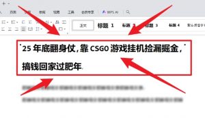 25年底翻身仗,靠CSGO游戏挂G捡漏掘金,搞钱回家过肥年【揭秘】-风淘社