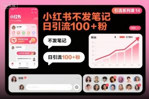 引流系列课14：小红书不发笔记日引流100+粉-风淘社