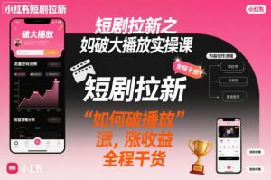 短剧拉新之小红书如何破大播放实操课，如何破播放，涨收益，全程干货-风淘社