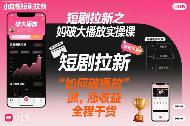 短剧拉新之小红书如何破大播放实操课，如何破播放，涨收益，全程干货-风淘社