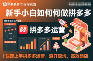 新手小白如何做拼多多,快速上手拼多多运营,避开踩坑,高效起店-风淘社
