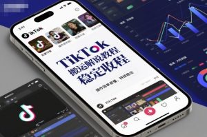 TikTok搬运解说教程，稳定收益，操作简单易懂，批量可做，持续稳定-风淘社