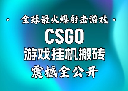 【年底大揭秘】基于全球最火爆的射击CSGO游戏挂G搬砖,日入5张+,震撼公开-风淘社