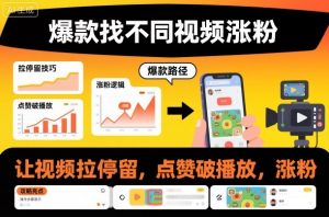 爆款找不同视频涨粉,让视频拉停留,实现点赞,破播放,涨粉-风淘社