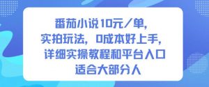 番茄小说10米每单,实拍玩法,0成本好上手,详细实操教程和平台入口适合大部分人-风淘社