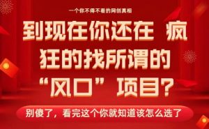 马上26年了,你还在找所谓的风口项目?别傻了,看完这个你全都懂了!【揭秘】-风淘社