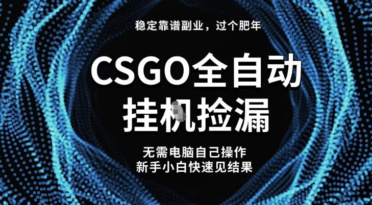 【稳定副业】全球最热门游戏CSGO全自动捡漏，最新玩法，新手小白日入5张+【揭秘】-风淘社