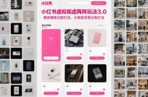 小红书虚拟矩阵玩法3.0,铺货铺笔记型打法,少款狂怼笔记型打法-风淘社