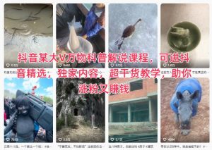 抖音某大V万物科普解说课程,可进抖音精选,独家内容,超干货教学,助你涨粉又賺钱-风淘社