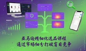 亚马逊精细化选品课程,通过市场细分打破盲目竞争-风淘社