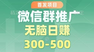 首发项目,微信群推广掘金,多号矩阵无脑日入3-5张【揭秘】-风淘社