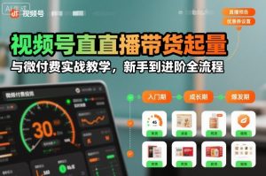 视频号直播带货起量与微付费实战教学,新手到进阶全流程-风淘社