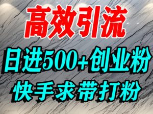 怎么打创业粉?快手求带视角精准引流创业粉,宝妈、学生群体日进500+精准流量-风淘社