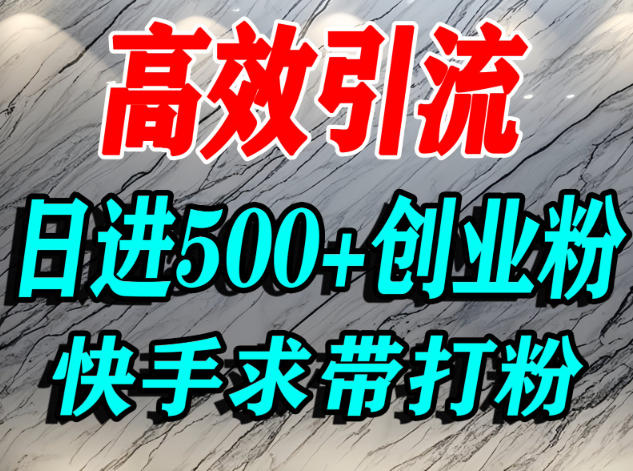 怎么打创业粉?快手求带视角精准引流创业粉,宝妈、学生群体日进500+精准流量-风淘社