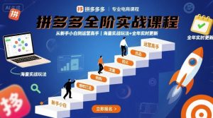 拼多多全阶实战课程,从新手小白到运营高手,海量实战玩法+全年实时更新【2025年10月更新】-风淘社