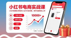 小红书电商实战课,小红书店铺从零到月入过1W全攻略,新手也能轻松上手-风淘社