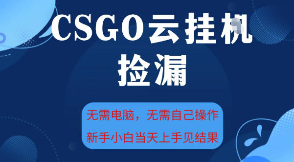 CSGO云挂G全自动捡漏,最新独家玩法,无需电脑操作,新手小白日入5张+【揭秘】-风淘社