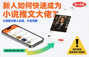 新人如何快速成为小说推文大佬？小说推文新人必看，少走弯路-风淘社
