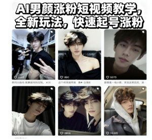 AI男颜涨粉短视频教学,全新玩法,快速起号涨粉-风淘社