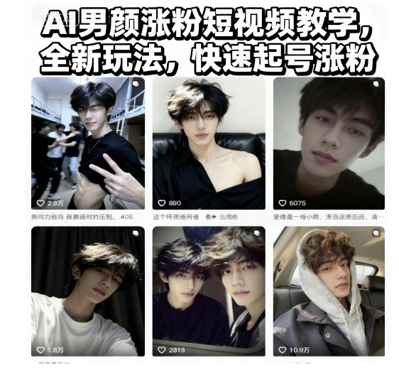 AI男颜涨粉短视频教学，全新玩法，快速起号涨粉-风淘社