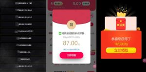 网络项目万能辅助工具_万能配合拉新项目吃遍提成-风淘社