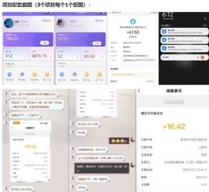 当天能收益的3个小项目拆解_包括平台+操作流程-风淘社